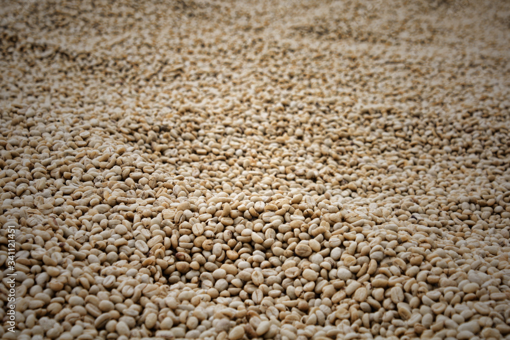 Coffee beans background Coffee beans background