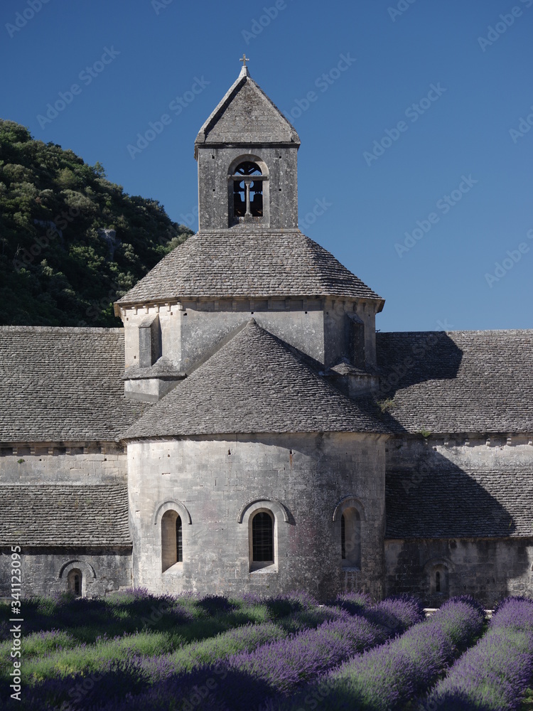 Fototapeta premium church Senanc abbey