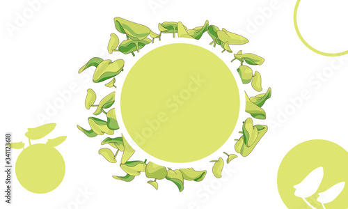 Waterlily leaves on white isolated backdrop. Round copy space for invitation or gift card, scrapbook, wedding card, bath tile. Phone case or cloth print art. Minimal style stock vector illustration