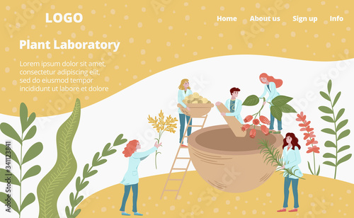 Laboratory medicines from plants, scientifical research in biology and genetics web template vector illustration. Scientist mini people make herbal medicine, medics analyzing plants, herbs webpage.