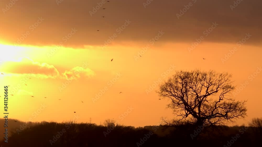 Golden sunset over English countryside time lapse UK 4K Golden sunset over English countryside time lapse UK 4K