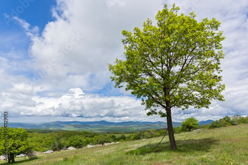 Spring Landscape of Cherna Gora mountain, Bulgaria