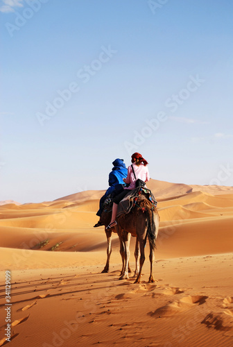 Fotografia Caravan of Camels in The Sahara Desert