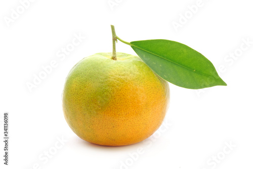 Tangerine Isolated on white background. Honeysuckle tangerine  or Sai Num Peung  is a most famous tangerine from Chiangmai Thailand.