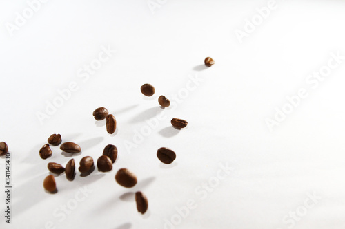 Roasted coffee bean on white background