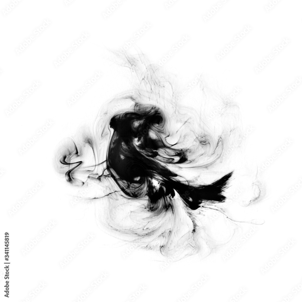 Fototapeta premium Black paint splash