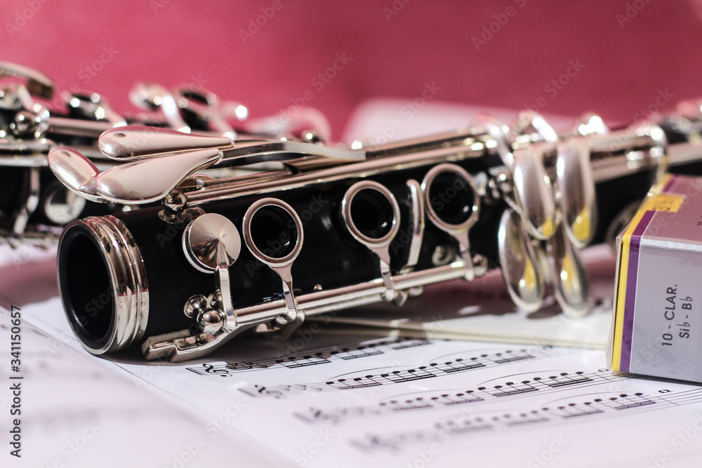 Obraz premium Clarinet practice