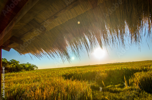 paisaje, campa, cielo, naturaleza, césped, verano, dehesa, sol, nube, atardecer, verde, agricultura, azul, nube, chacras, amanecer, campesina, amarilla, árbol, campo, luz solar, primavera, trigo, hori photo