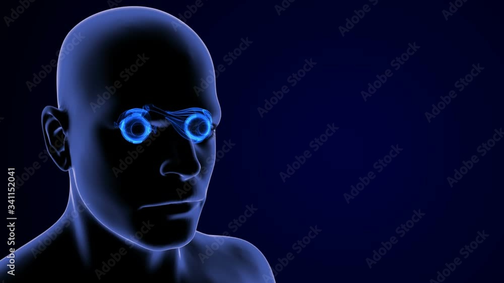 3d render of human eye anatomy 3d render of human eye anatomy