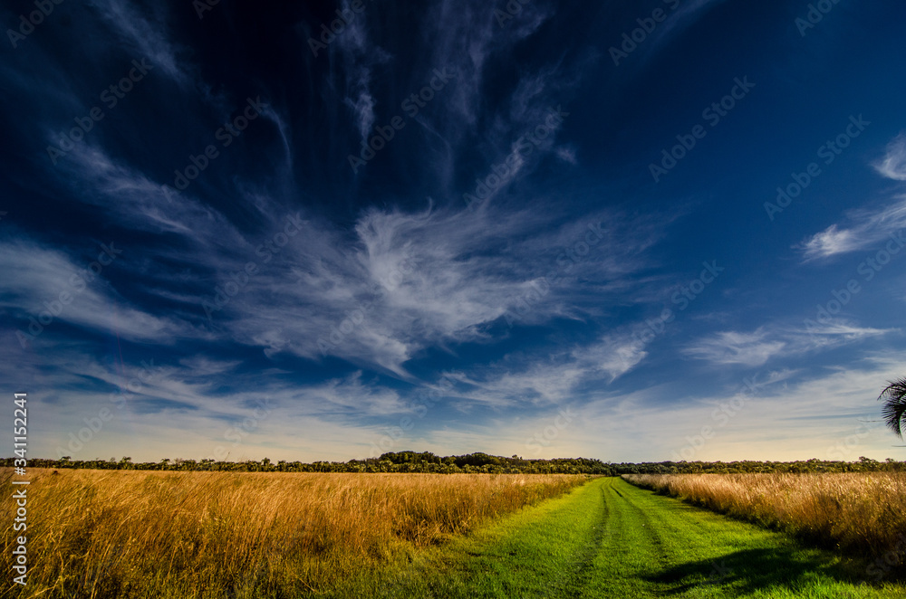 Obraz premium campa, cielo, paisaje, césped, naturaleza, dehesa, azul, verano, nube, nube, verde, agricultura, campesina, chacras, horizonte, trigo, campo, carretera, campestre, primavera, atardecer, aterrizar, tem
