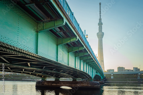Japan. Tokyo Bridges. Panor...