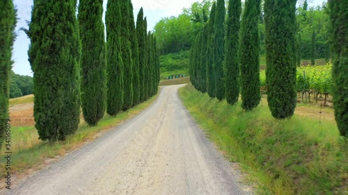 Slow motion stabilized shot - Famous cypress trees row along Tuscany road by POV of car driver driving along countryside of Italy. Cypress tree defines signature of Tuscany for tourist visiting Italy.