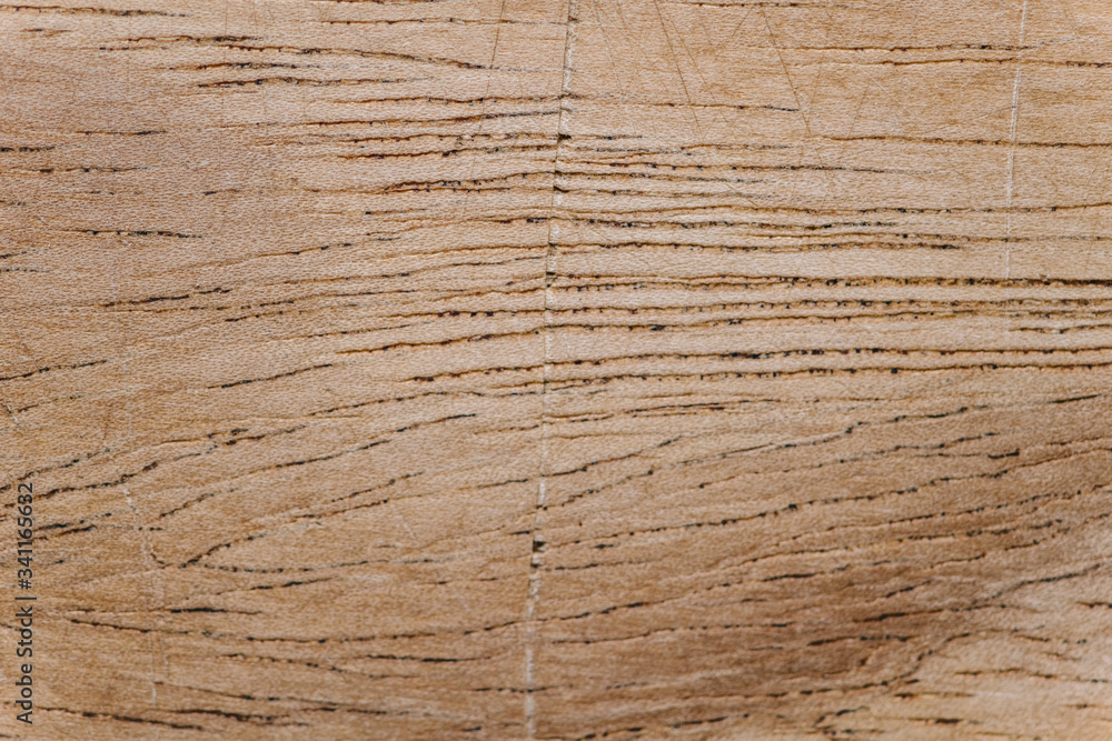 Fototapeta premium Wooden plank close up