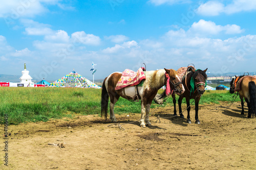 Horse colored prayer flags and yurts on the Jinyintan grassland in Qinghai, China. Horses on the Jinyintan grassland in Qinghai, China.