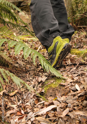 Caminando entres las hojas