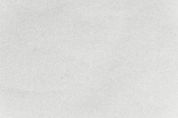 Light gray kraft paper textured background