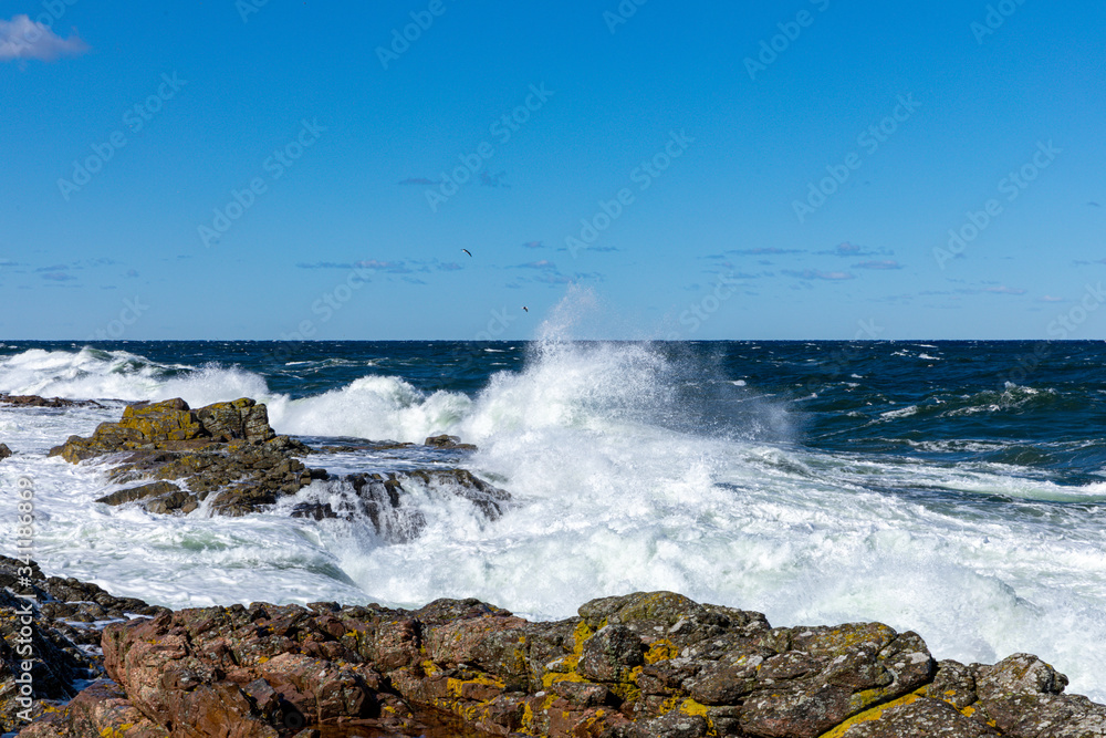 Fototapeta premium Wave hitting the shore