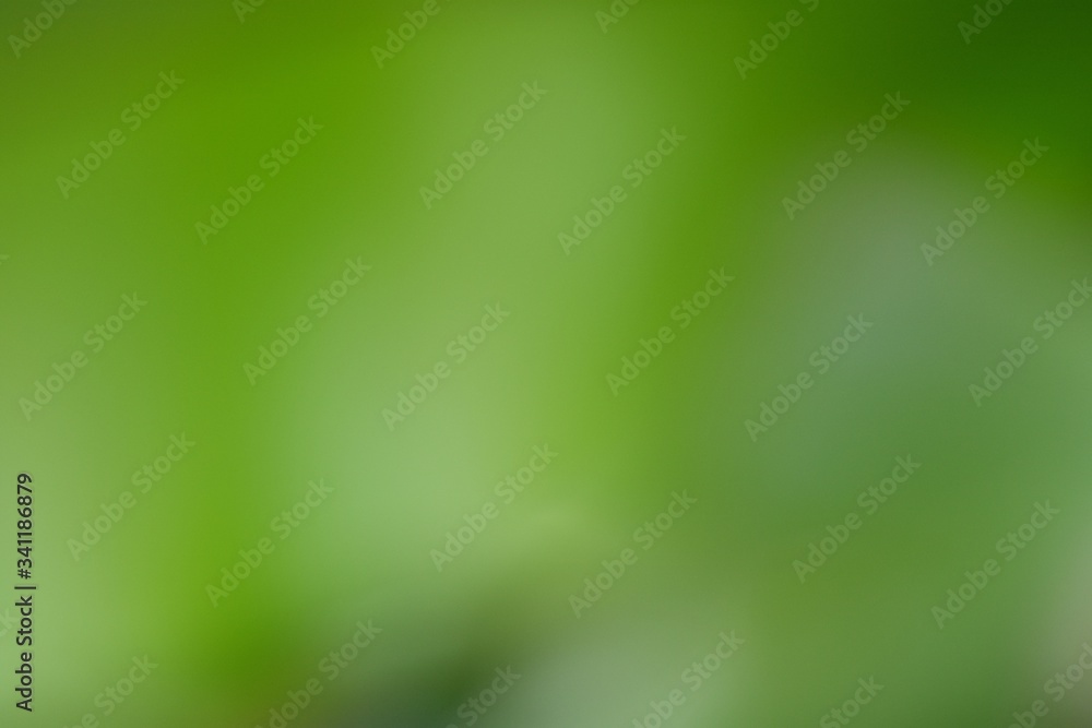 Abstract wallpapers. Blurred bokeh with green tones Abstract wallpapers. Blurred bokeh with green tones