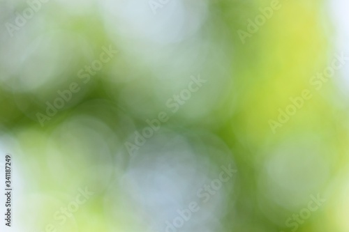Abstract wallpapers. Blurred bokeh with green tones