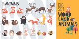 Big vector cartoon collection of wild woodland forest animals: bear, fox, deer, reindeer, elk, squirrel, hedgehog, hare, bird, owl, raccoon