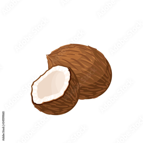 Coconut, whole fruit and half. Vector illustration cartoon flat icon isolated on white.