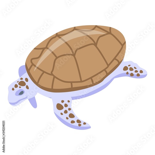 White brown turtle icon. Isometric of white brown turtle vector icon for web design isolated on white background
