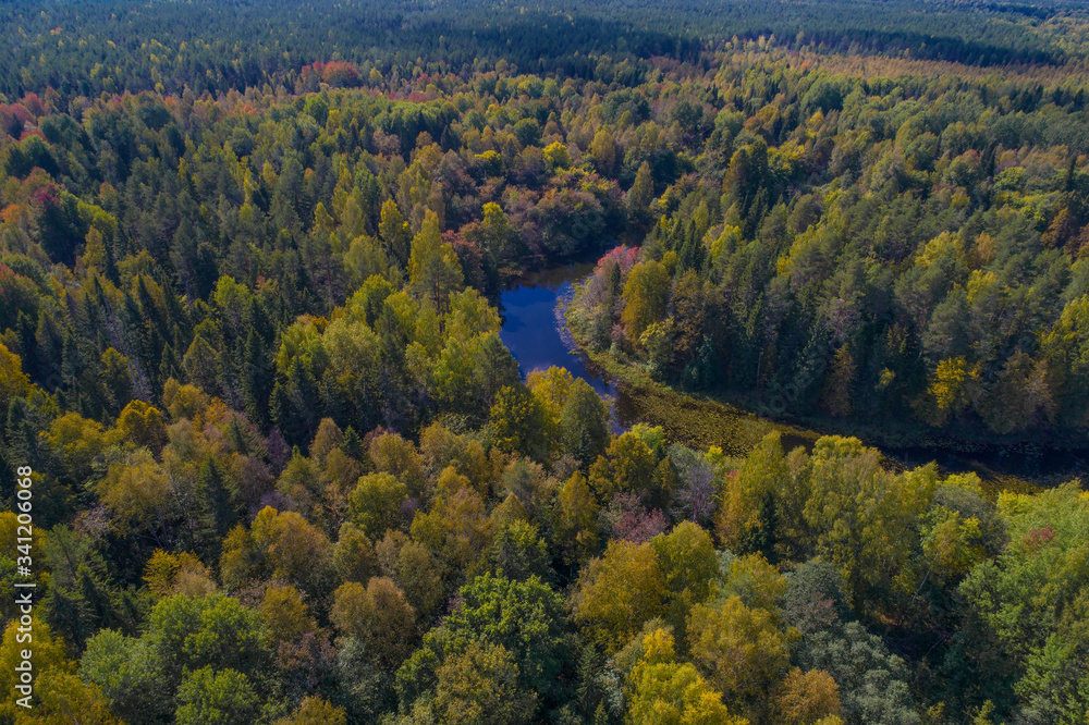 Bend of the Mezha River in a dense autumn forest. Kostroma region, Russia