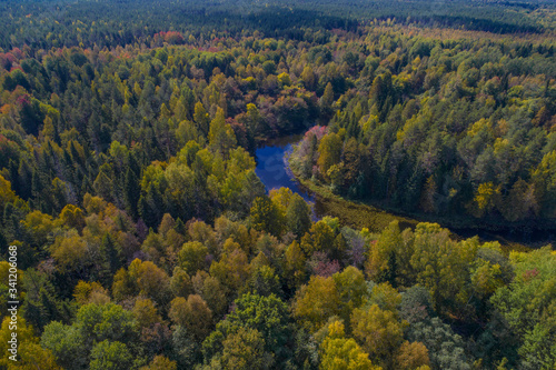 Bend of the Mezha River in a dense autumn forest. Kostroma region, Russia