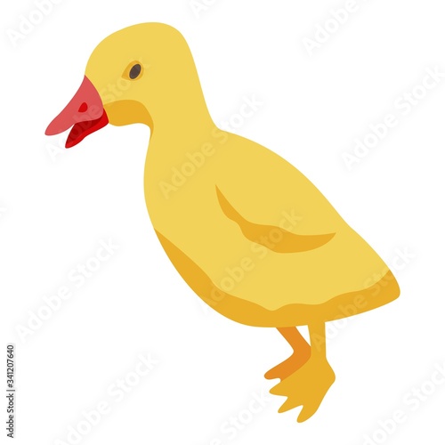 Yellow kid duck icon. Isometric of yellow kid duck vector icon for web design isolated on white background