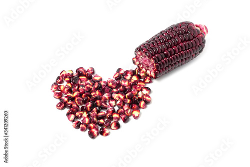 Fresh red corn isolated on white background.(black corn, purple corn) Siam Ruby Queen or Red corn of sweet corn. Grains of ripe corn with clipping path. Can be eaten fresh.