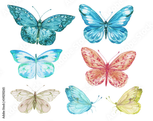 butterflies watercolor hand painting