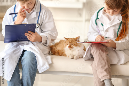 Little veterinarians examining cute cat in clinic