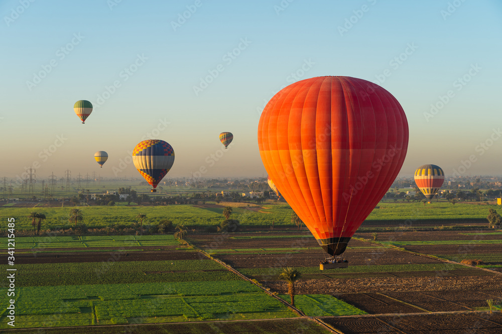 Naklejka premium Hot air Balloons over Luxor city in a morning sunrise, Upper Egypt
