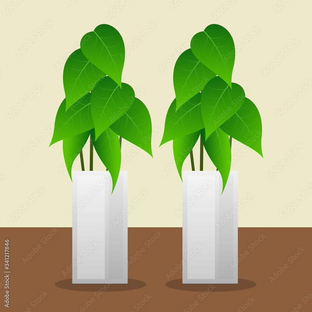 Houseplant standing on table vector. Illustration in flat design. Modern stylish color background. Natural plant with green leaves. Houseplant standing on table vector. Illustration in flat design. Modern stylish color background. Natural plant with green leaves.