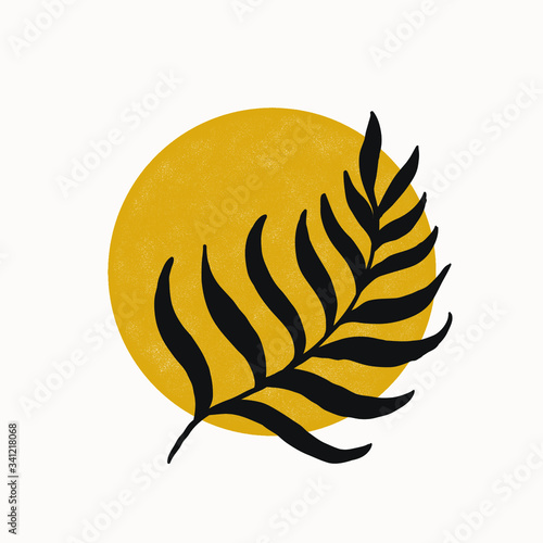 plant shilouette and circle icon composition isolated story highlight , abstract art composition , tropical nature, trendy fashion illustration . simple vintage art with texture and grit
