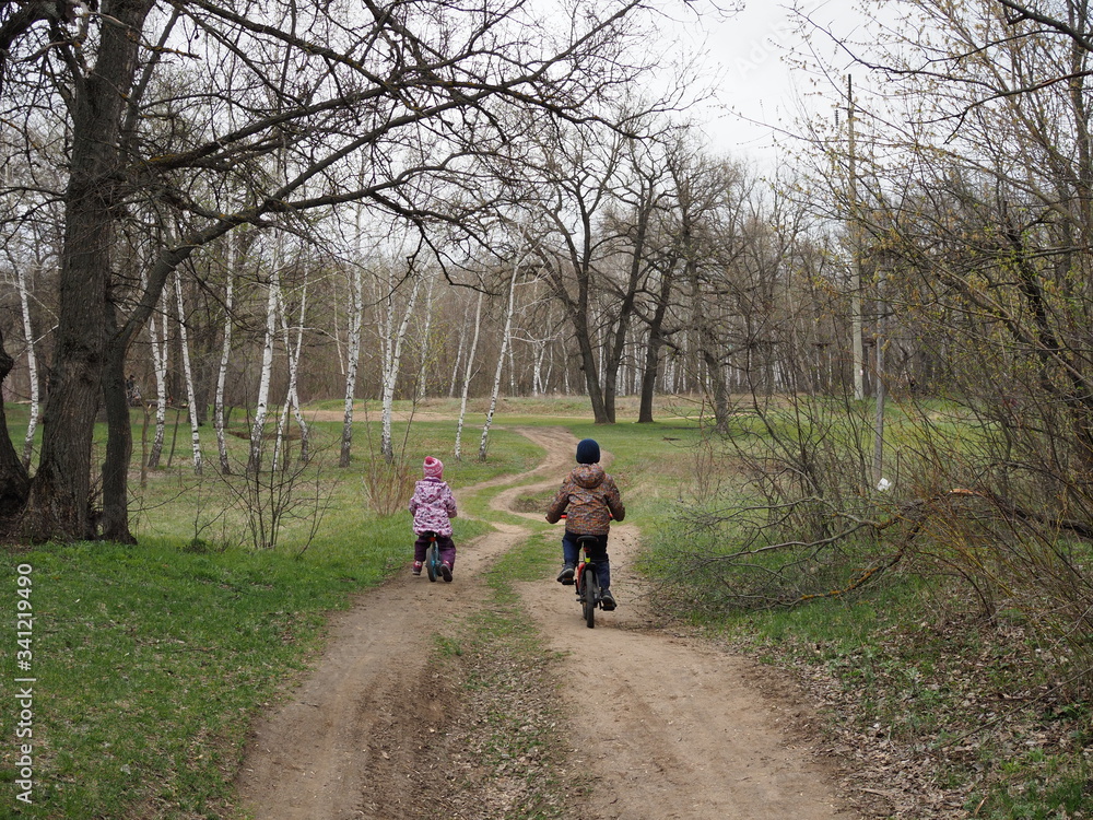 Fototapeta premium children ride bicycles in the spring forest