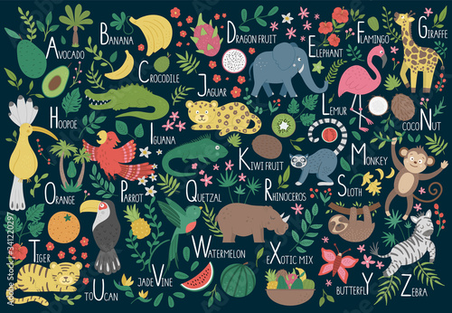 Tropical alphabet for children. Cute flat ABC with jungle animals, fruit, birds, plants. Horizontal layout funny poster for teaching reading on dark blue background..