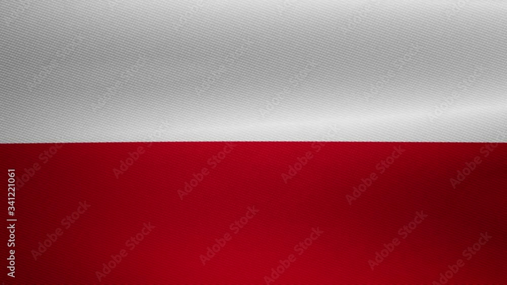 flag of poland flag of poland