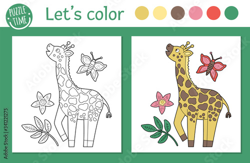 Tropical coloring page for children. Vector giraffe illustration. Cute funny animal character outline. Jungle summer color book for kids with colored version and example.