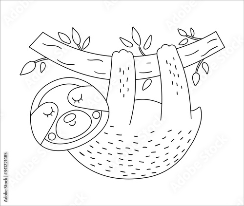 Vector cute sloth hanging on a tree brunch outline. Funny tropical exotic animal black and white illustration. Fun coloring page for children. Jungle summer clip art.