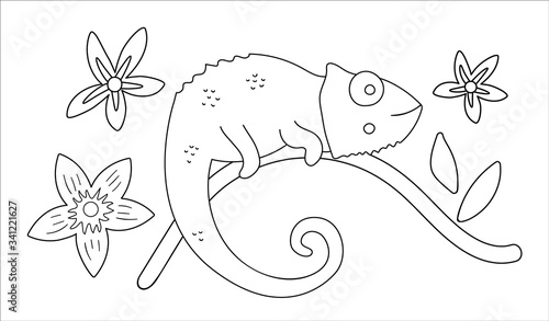 Vector cute chameleon on a tree brunch outline. Funny tropical exotic animal black and white illustration. Fun coloring page for children. Jungle summer clip art.