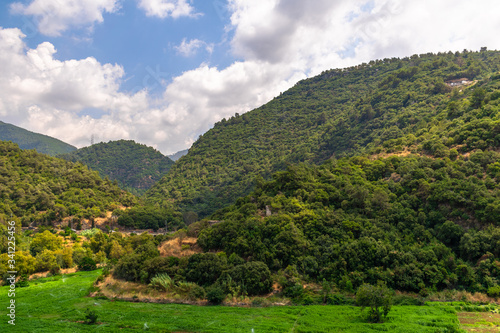 The Mountains of Lebanon are the Symbol of the Country. After Centuries of Persistent Deforestation