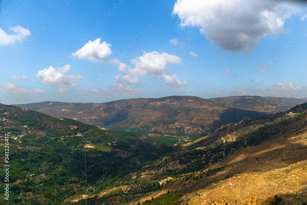 The Mountains of Lebanon are the Symbol of the Country. After Centuries of Persistent Deforestation The Mountains of Lebanon are the Symbol of the Country. After Centuries of Persistent Deforestation