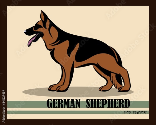German Shepherd Dog color vector eps 10