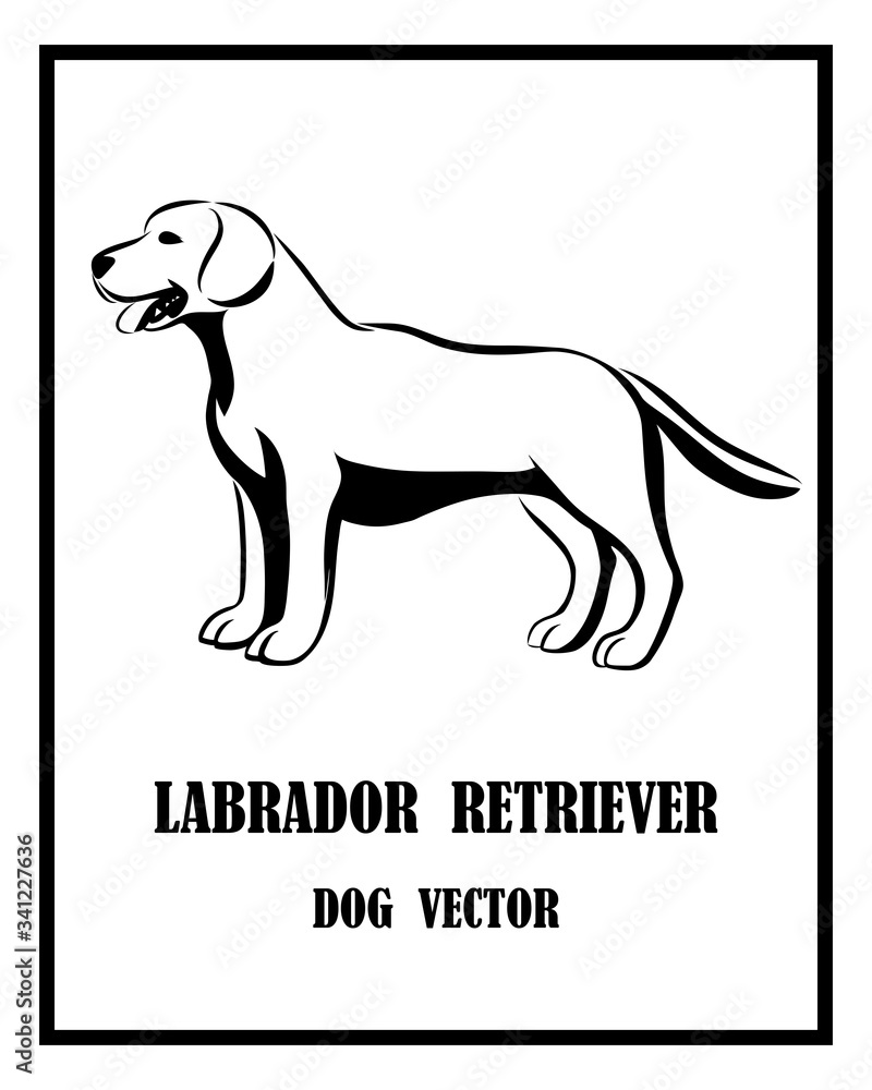 Labrador Retriever dog vector eps 10