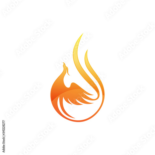 Fire bird phoenix logo design, falcon, eagle, hawk and wing vector icon