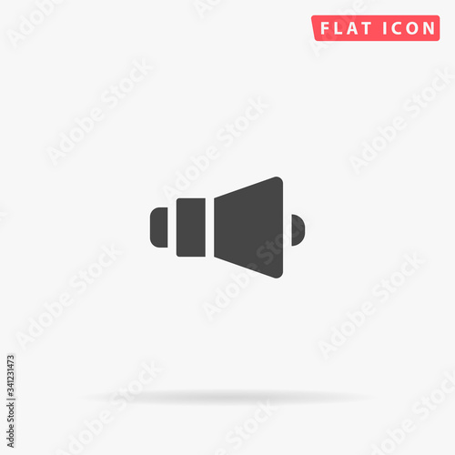 Loudspeaker flat vector icon