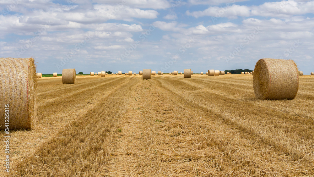 Straw bales stacked in a field at summer time