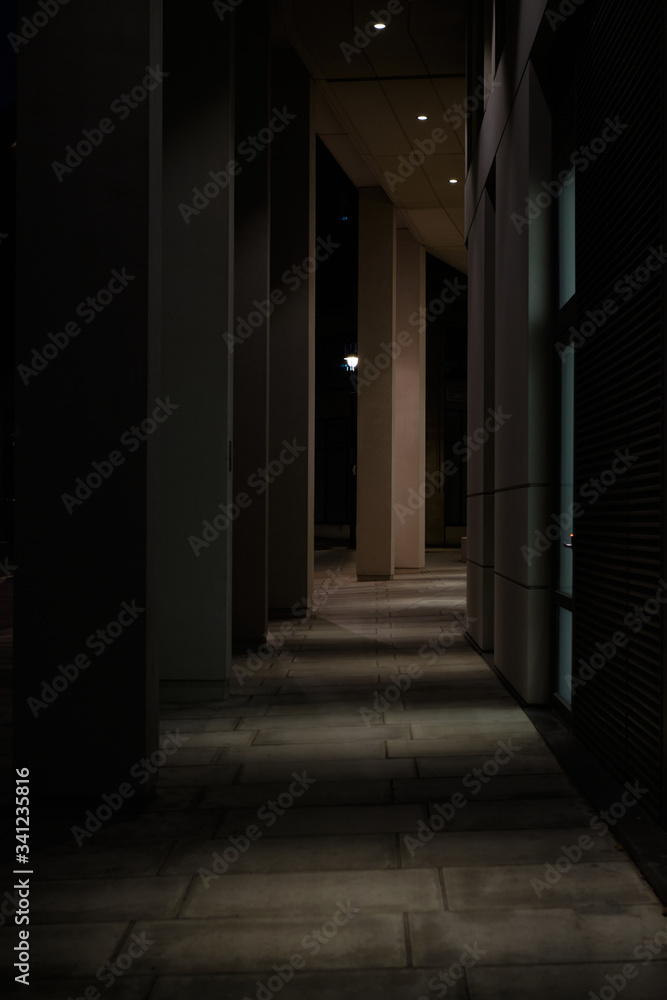 Shadowy city walkway next to modern building at night