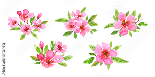Set of watercolor cherry blossom flower wreath. Sakura beautiful spring floral collection. Colorful illustration isolated on white background